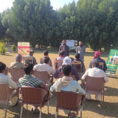 WhatsApp Image 2024-11-08 at 5.07.29 PM