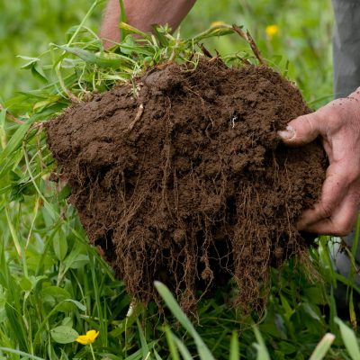 organic compost 2-min