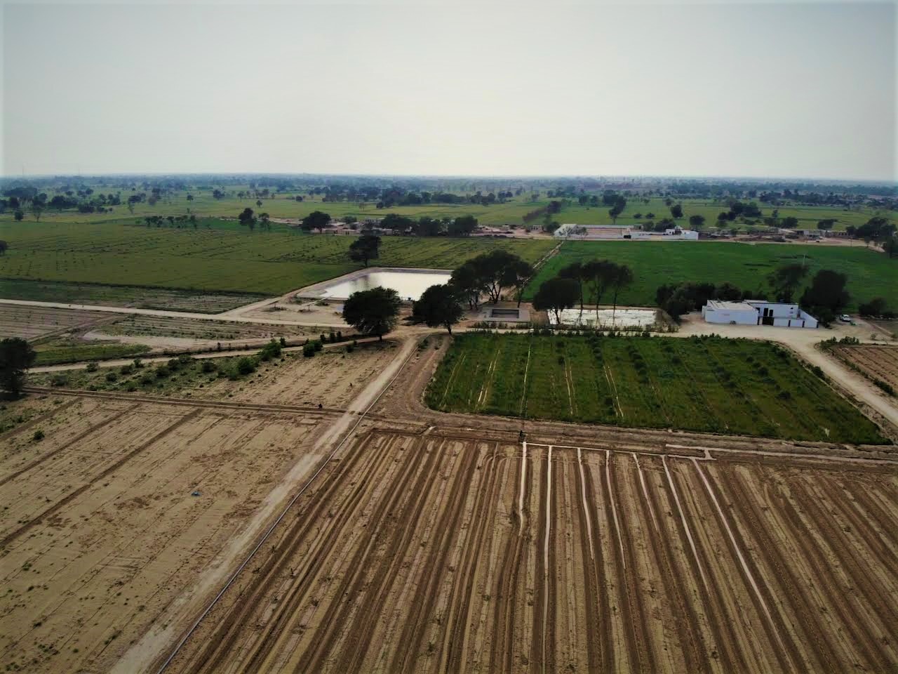 infiniti livestock and agro farm